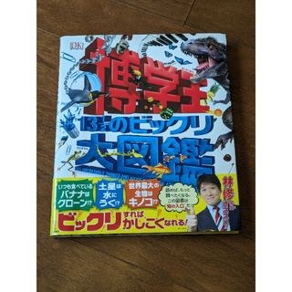 博学王　１３　１／２のビックリ大図鑑(絵本/児童書)