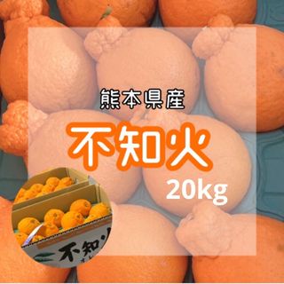 もうすぐ終了‼️糖度15度越え　プレミアムみかんキング　旬味有田みかん 5Kg