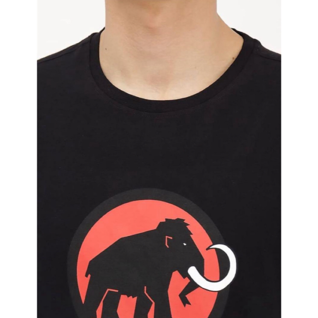 Mammut(マムート)の送料無料 新品 MAMMUT マムート クラシック ロングスリーブ L メンズのトップス(Tシャツ/カットソー(七分/長袖))の商品写真