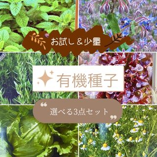 お試し/家庭菜園【有機】【自然農】【無農薬】選べる種子3点セット(野菜)