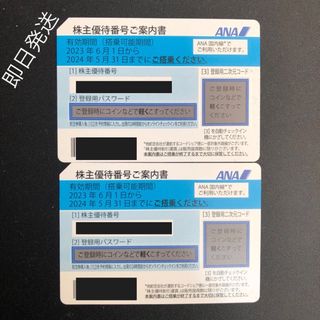 エーエヌエー(ゼンニッポンクウユ)(ANA(全日本空輸))のANA株主優待券　2枚(航空券)