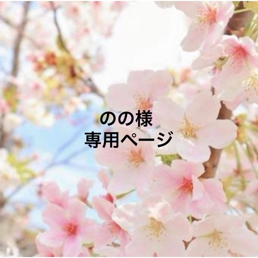 Johnny's(ジャニーズ)ののの様専用ページ その他のその他(その他)の商品写真