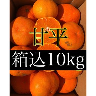 愛媛県産 ミカン 家庭用 甘平 箱込10kg 柑橘 果物みかん(フルーツ)