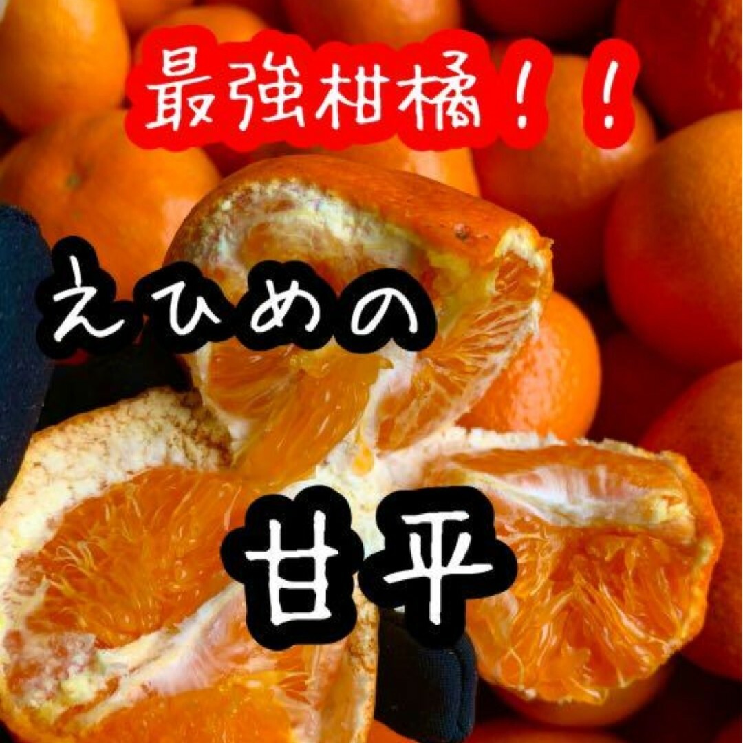 愛媛県産　甘平　3㎏　少し訳あり　柑橘　ミカン 食品/飲料/酒の食品(フルーツ)の商品写真