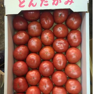 若松フルーツトマト3kg,(野菜)