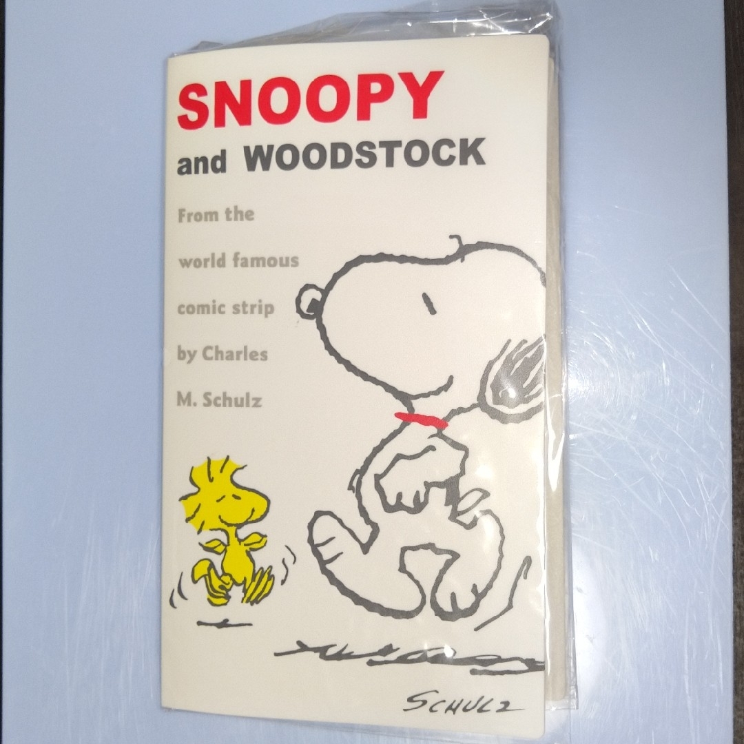 SNOOPY(スヌーピー)のスヌーピー　カードケース エンタメ/ホビーのおもちゃ/ぬいぐるみ(キャラクターグッズ)の商品写真