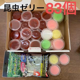 昆虫ゼリー83個　ダニよけゼオライト(虫類)