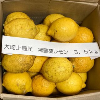 広島県大崎上島産無農薬レモン　3.5kg(フルーツ)