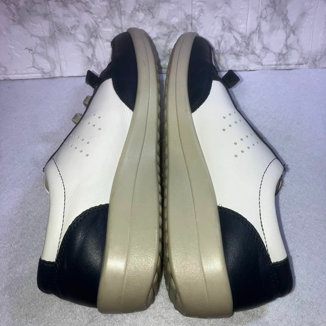 ACHILLES SORBO(アキレスソルボ)のACHILLES SORBO スニーカー　24.5㎝ レディースの靴/シューズ(スニーカー)の商品写真