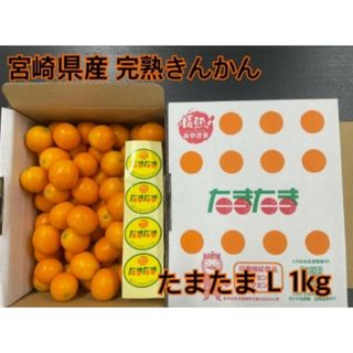 たまたま 金柑 完熟 きんかん 宮崎県産　Lサイズ　1kg　専用箱入り(フルーツ)