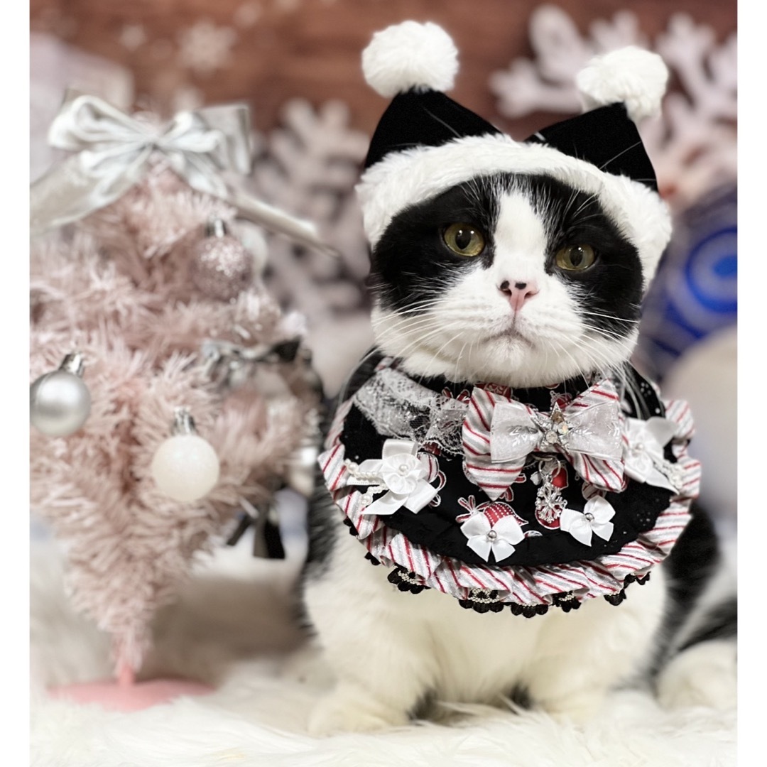 黒とシルバーのクリスマスチョーカー ハンドメイドのペット(ペット服/アクセサリー)の商品写真