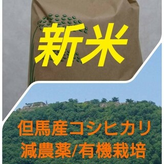 コシヒカリ新米9キロ（精米）(米/穀物)
