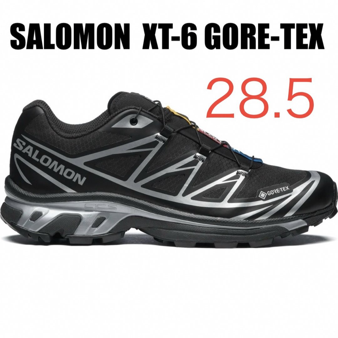 SALOMON(サロモン)のSALOMON XT-6 GORE-TEX ゴアテックス 28.5cm メンズの靴/シューズ(スニーカー)の商品写真