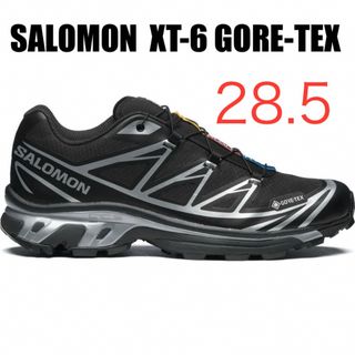 サロモン(SALOMON)のSALOMON XT-6 GORE-TEX ゴアテックス 28.5cm(スニーカー)