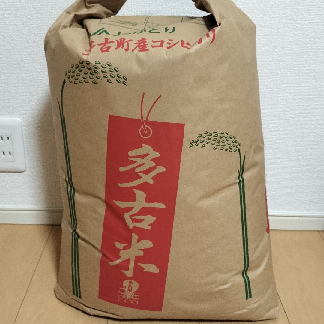 多古米コシヒカリ　4合600g 食品/飲料/酒の食品(米/穀物)の商品写真