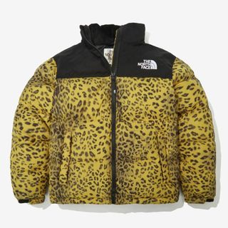 ザノースフェイス(THE NORTH FACE)の定価39800円ノースフェイス ダウンジャケット NOVELTY NUPTSE(ダウンジャケット)