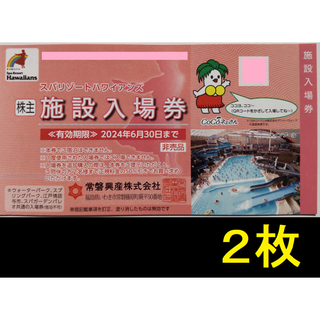 遊園地/テーマパークゴルスタ天国　2022チケット　4枚セット