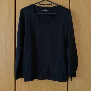 ウィゴー(WEGO)の黒の薄手のＶネックニット(ニット/セーター)