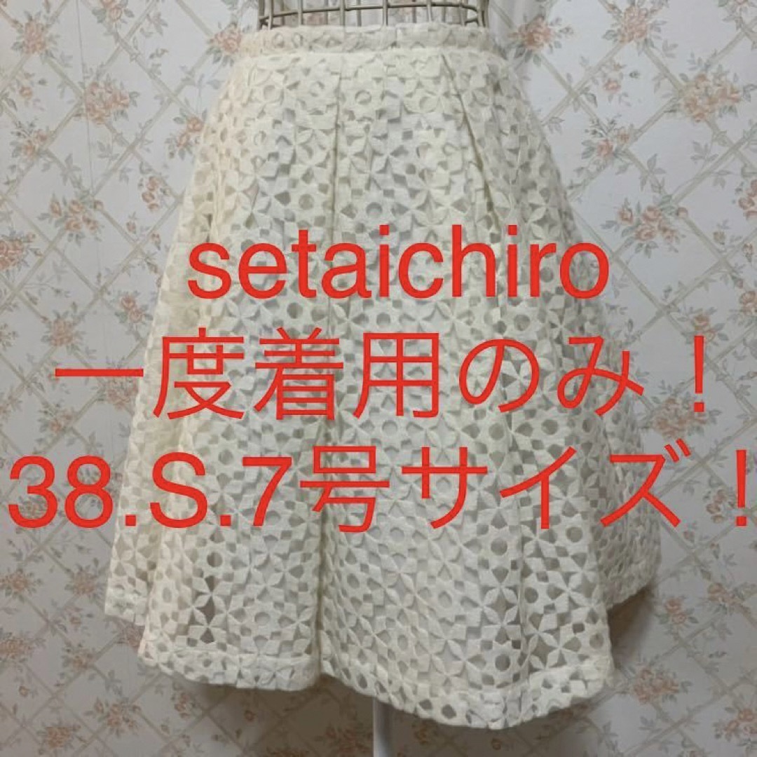 seta ichiro(セタイチロウ)の★setaichiro/セタイチロウ★小さいサイズ！フレアスカート38.S.7号 レディースのスカート(ひざ丈スカート)の商品写真