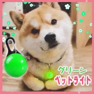 ★セール★犬 ライト 首輪 リード ペット LED セーフティ 散歩 グリーン(犬)