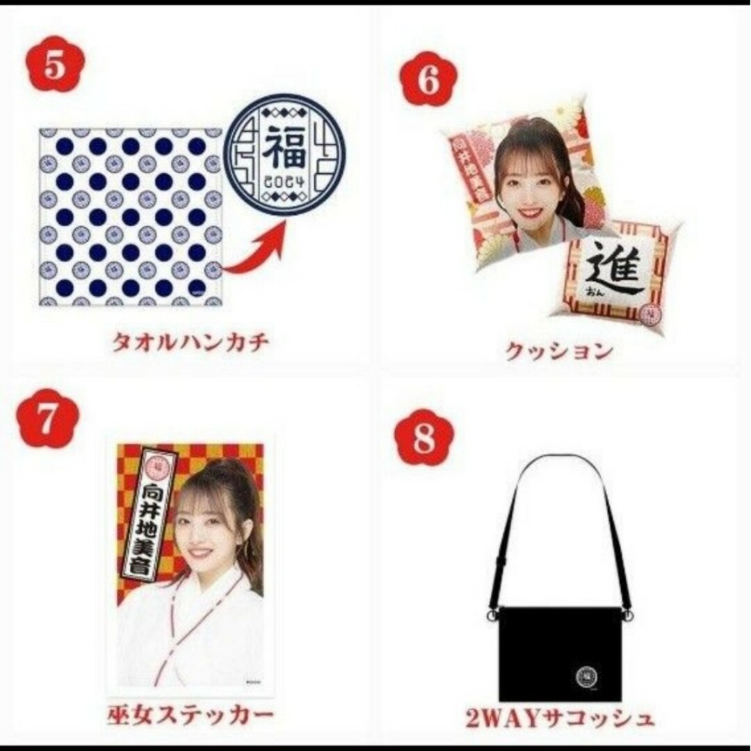 AKB48(エーケービーフォーティーエイト)の新品　本田仁美　AKB48　2024年福袋　グッズ エンタメ/ホビーのタレントグッズ(アイドルグッズ)の商品写真