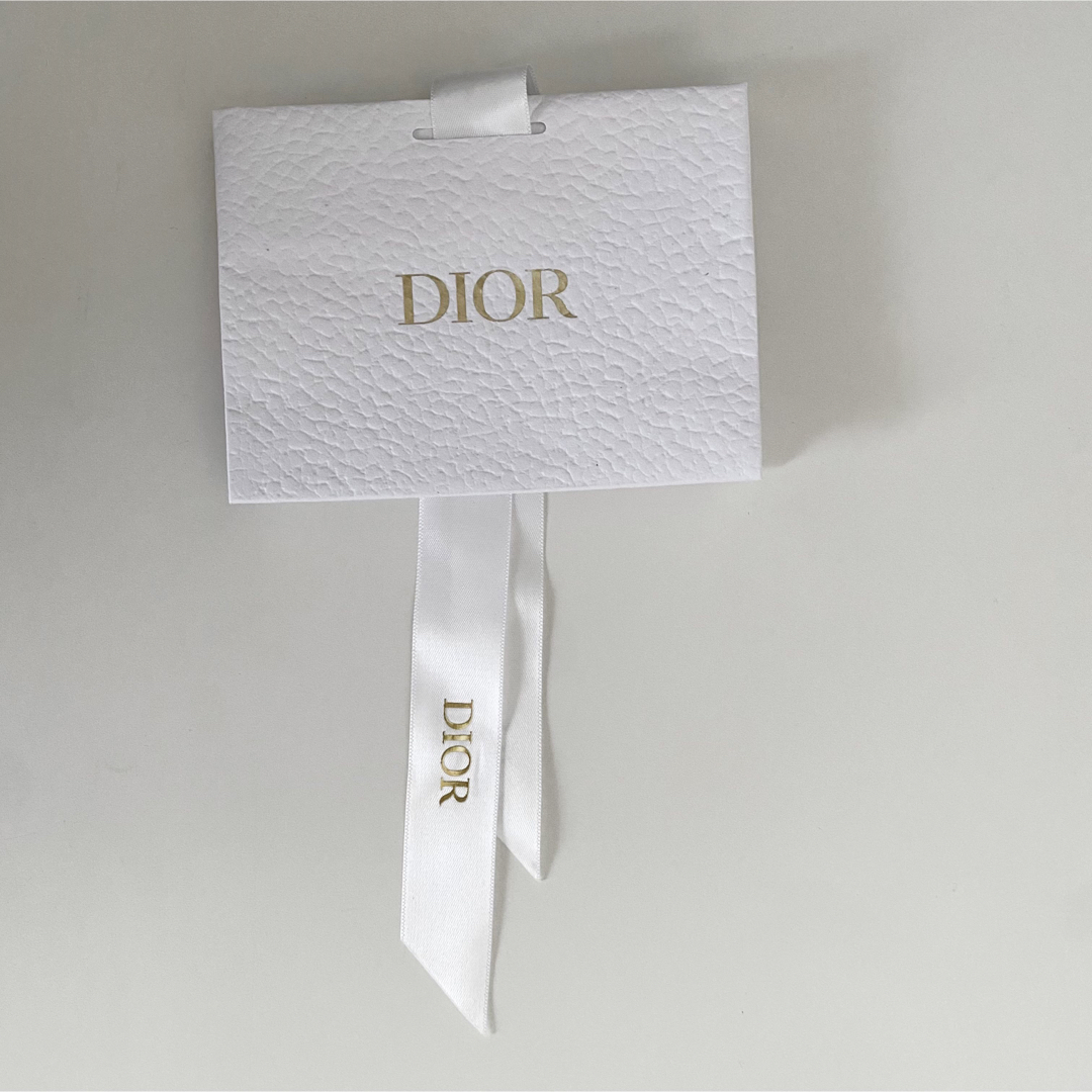 Dior(ディオール)の【美品】ディオール　Dior ショッパー　ショップ袋　ギフト　プレゼント　袋 レディースのバッグ(ショップ袋)の商品写真