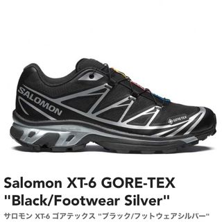 SALOMON - 27.5cm SALOMON RANRA コラボモデル ランラ サロモンの通販 ...