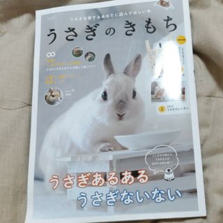 トウキョウショセキ(東京書籍)のうさぎのきもち(住まい/暮らし/子育て)