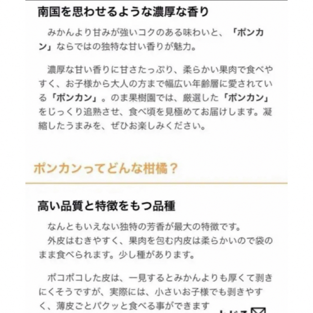 和歌山有田産 ポンカン  3kg 食品/飲料/酒の食品(フルーツ)の商品写真