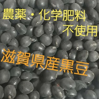 【送料無料】農薬・化学肥料不使用　令和5年度産　滋賀県産黒豆1000g(米/穀物)