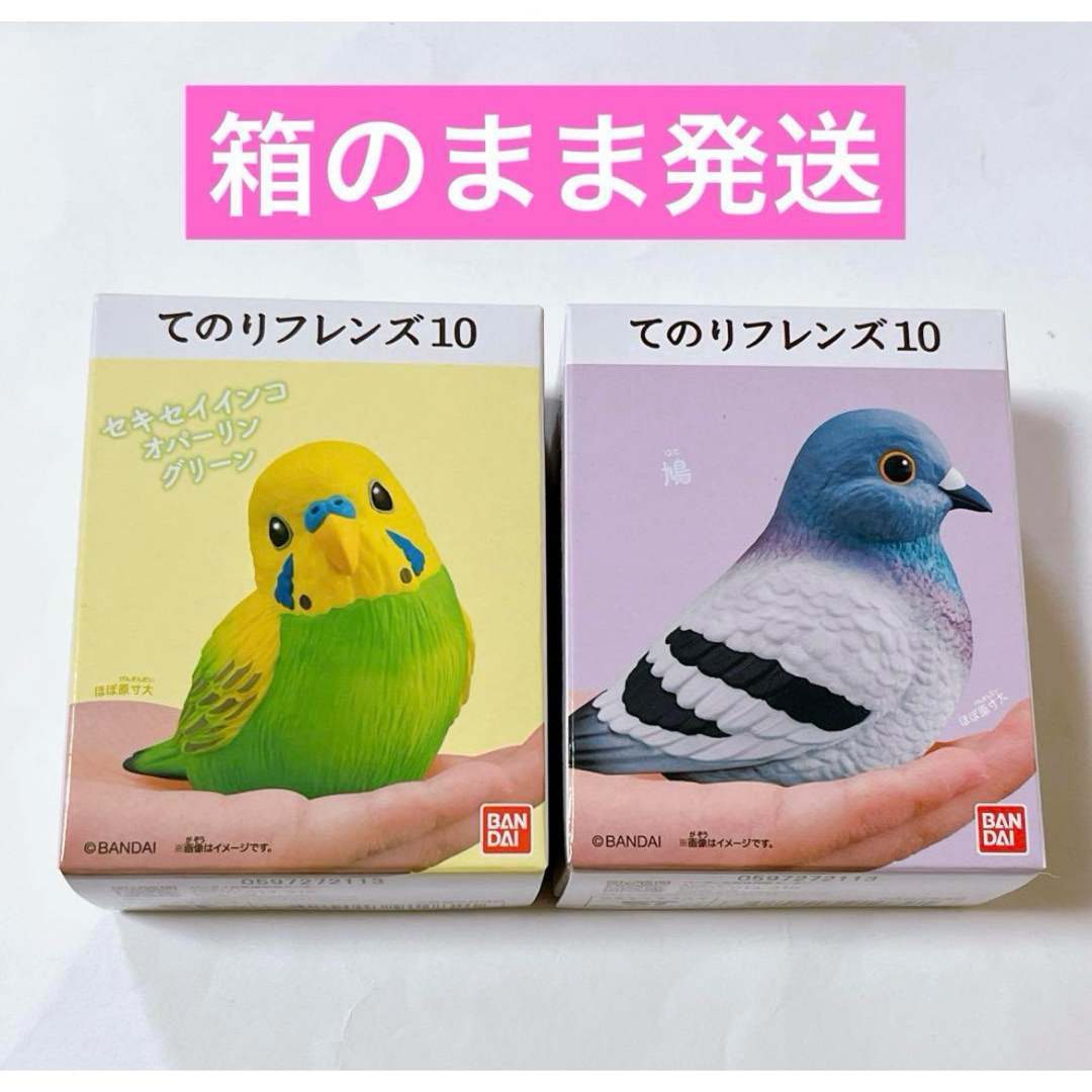 てのりフレンズ10 鳩 セキセイインコ 2個セット - 鳥雑貨・オーナーズ