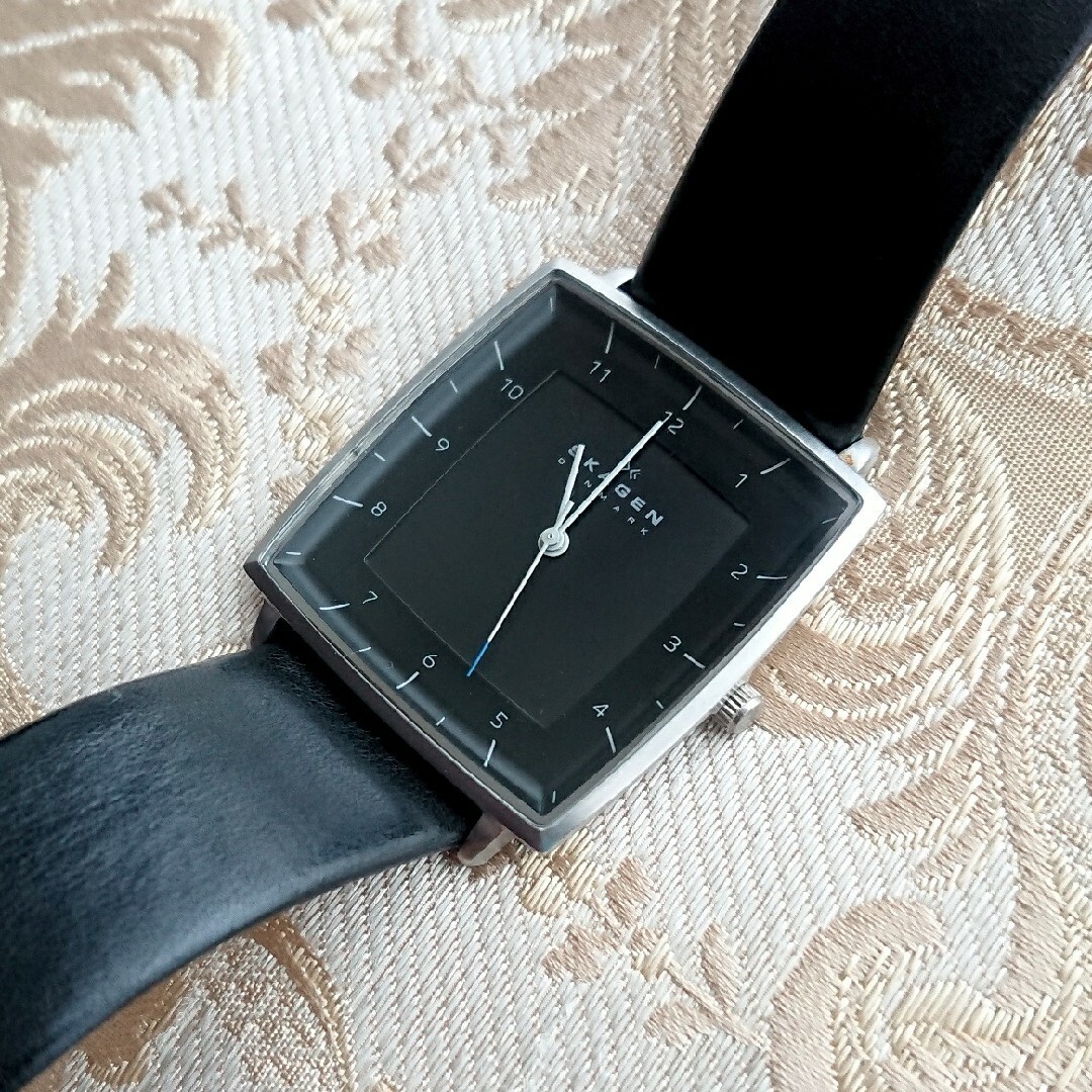 SKAGEN(スカーゲン)の確認用 メンズの時計(腕時計(アナログ))の商品写真
