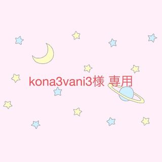 kona3vani3様 専用(チャーム)