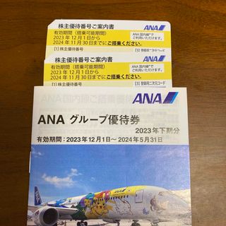 エーエヌエー(ゼンニッポンクウユ)(ANA(全日本空輸))のANA株主優待2枚　2024年11月30日期限(航空券)