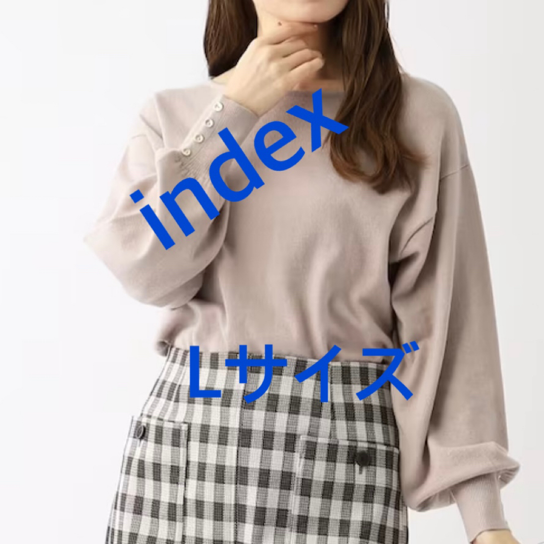 INDEX(インデックス)の3847 index ワールド ニット ライトベージュ L 新品未使用 レディースのトップス(ニット/セーター)の商品写真