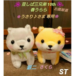 豆しば三兄弟【新作】10th 春うらら  ST セット(ぬいぐるみ)