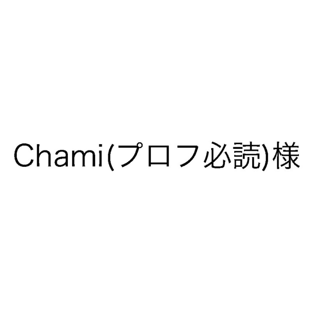 ①Chami(プロフ必読)様専用 2枚 レディースのファッション小物(ハンカチ)の商品写真