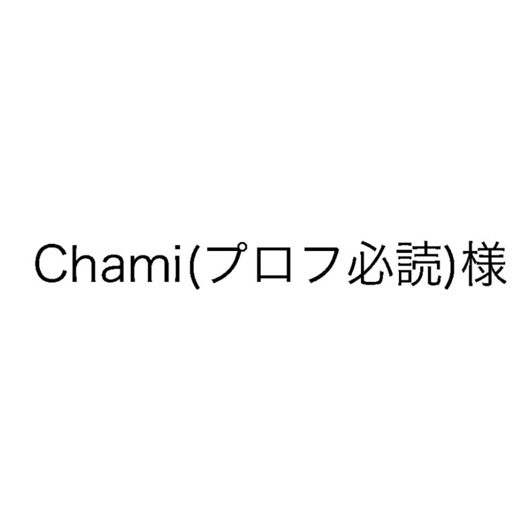 ②Chami(プロフ必読)様専用 レディースのファッション小物(ハンカチ)の商品写真