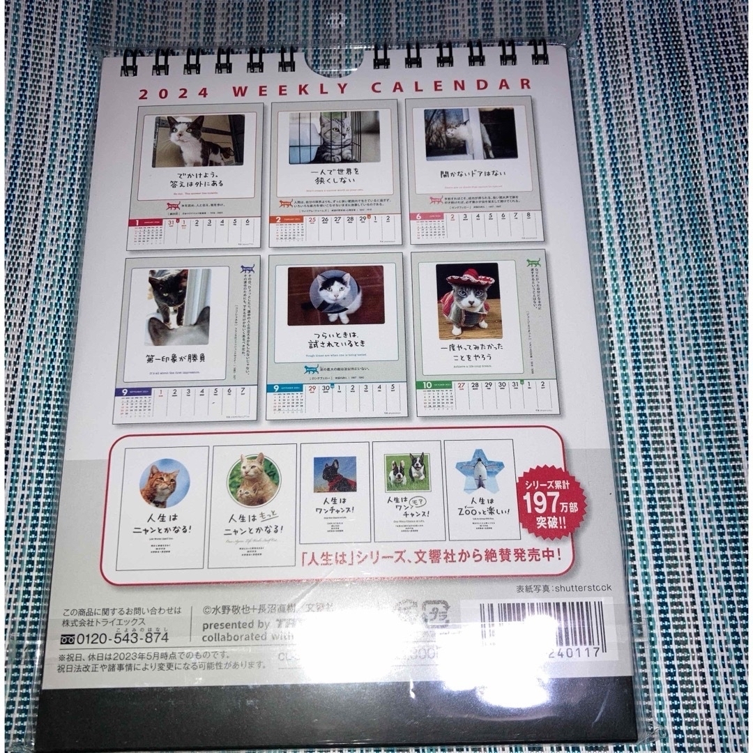 週めくりカレンダー　人生はニャンとかなる！明日に幸福をまねく53の方法 エンタメ/ホビーの本(住まい/暮らし/子育て)の商品写真