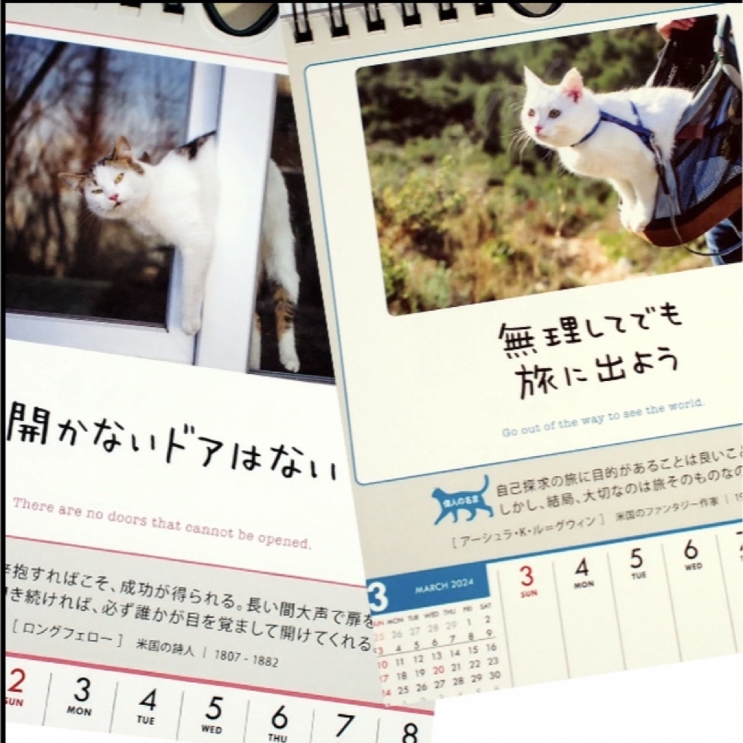 週めくりカレンダー　人生はニャンとかなる！明日に幸福をまねく53の方法 エンタメ/ホビーの本(住まい/暮らし/子育て)の商品写真