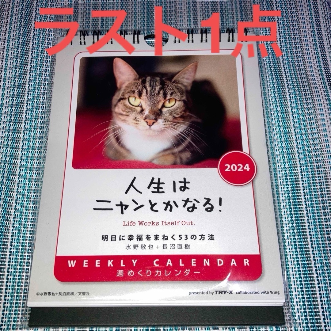 週めくりカレンダー　人生はニャンとかなる！明日に幸福をまねく53の方法 エンタメ/ホビーの本(住まい/暮らし/子育て)の商品写真