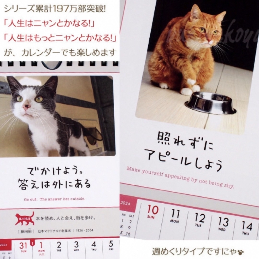 週めくりカレンダー　人生はニャンとかなる！明日に幸福をまねく53の方法 エンタメ/ホビーの本(住まい/暮らし/子育て)の商品写真