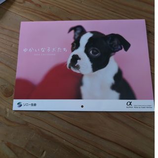 ソニー生命　ゆかいな子犬たち　2024　カレンダー(カレンダー/スケジュール)