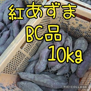 紅あずま　BC10kg(野菜)