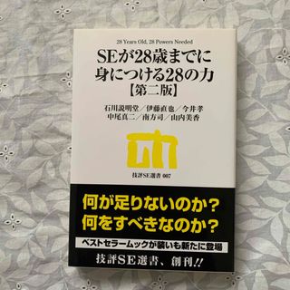 ＳＥが２８歳までに身につける２８の力(コンピュータ/IT)