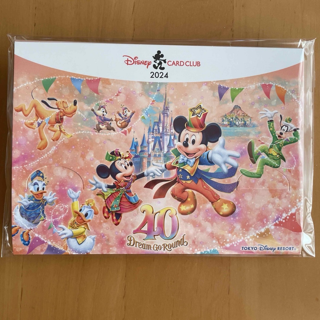 Disney(ディズニー)のディズニーJCBカード ピンバッジ エンタメ/ホビーのアニメグッズ(バッジ/ピンバッジ)の商品写真