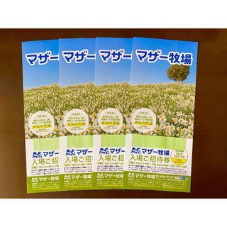 ’24.３/ 31 迄 ⭐︎ 千葉県 マザー牧場 ⭐︎ 入園券４枚 set！！(動物園)