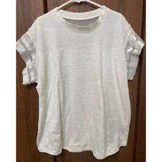 Tシャツ(Tシャツ(半袖/袖なし))