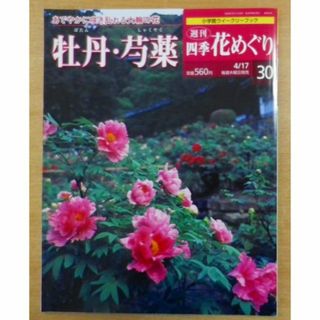 週刊四季花めぐり30　牡丹・芍薬(趣味/スポーツ)