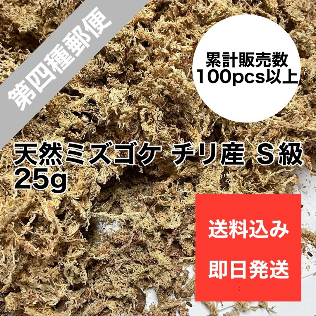 天然水苔 ミズゴケ 乾燥水苔 チリ産 Ｓ級 25g ハンドメイドのフラワー/ガーデン(その他)の商品写真